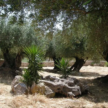 Apartament Il Veliero Fiskardo